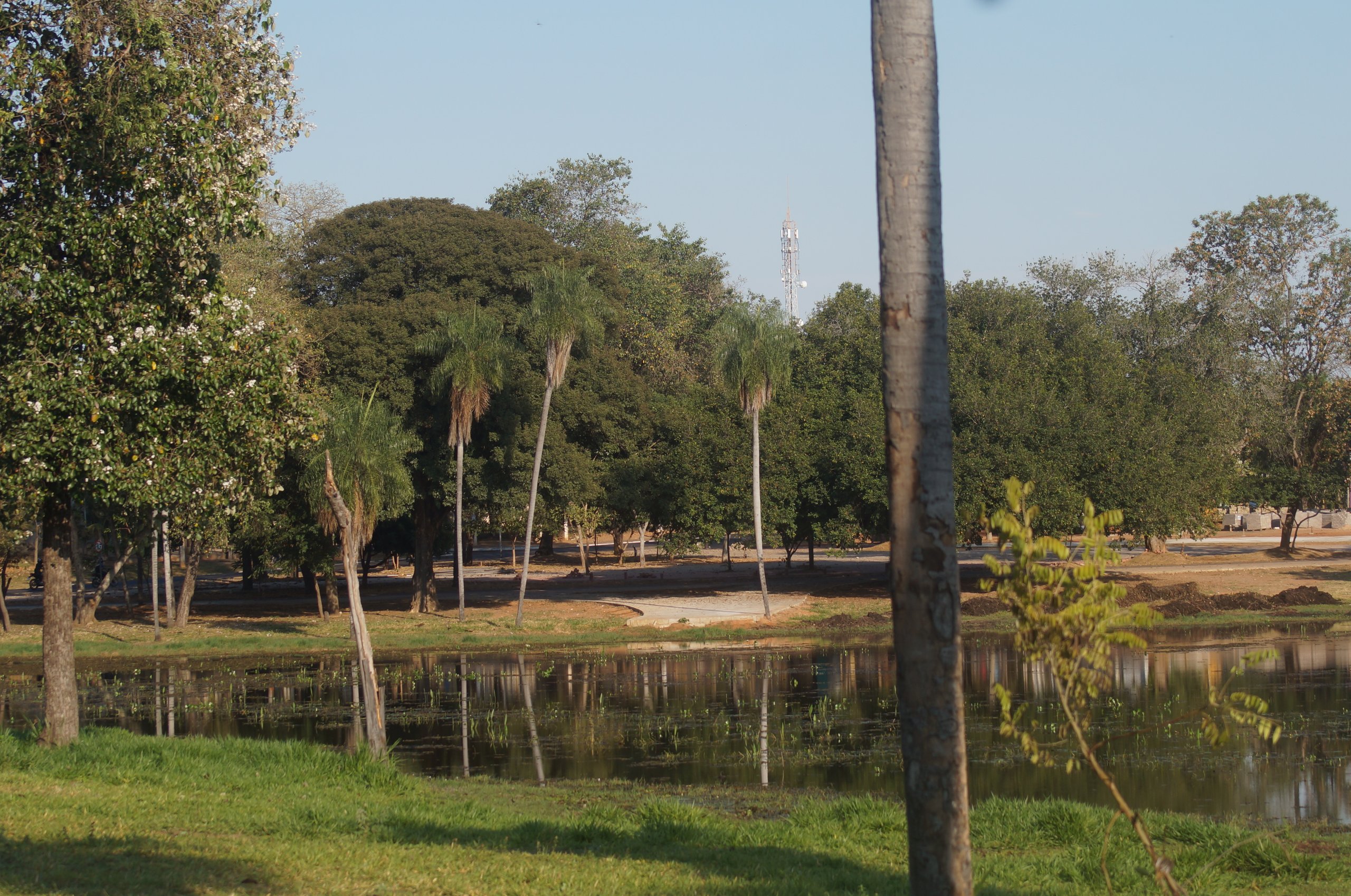 Registro