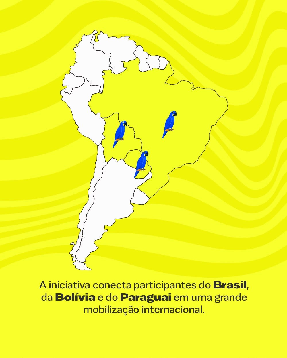 Imagem complementar