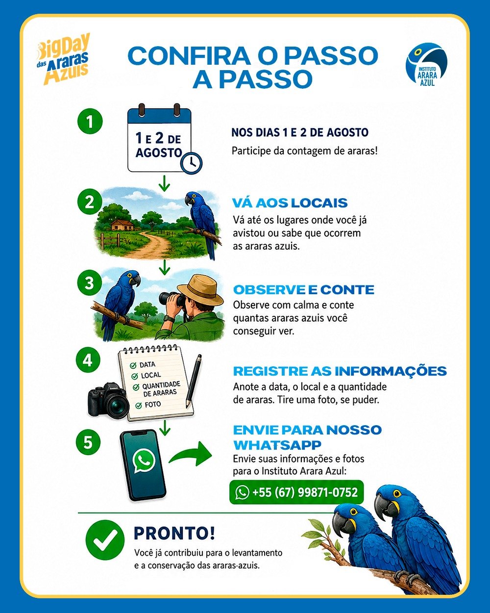 Imagem complementar